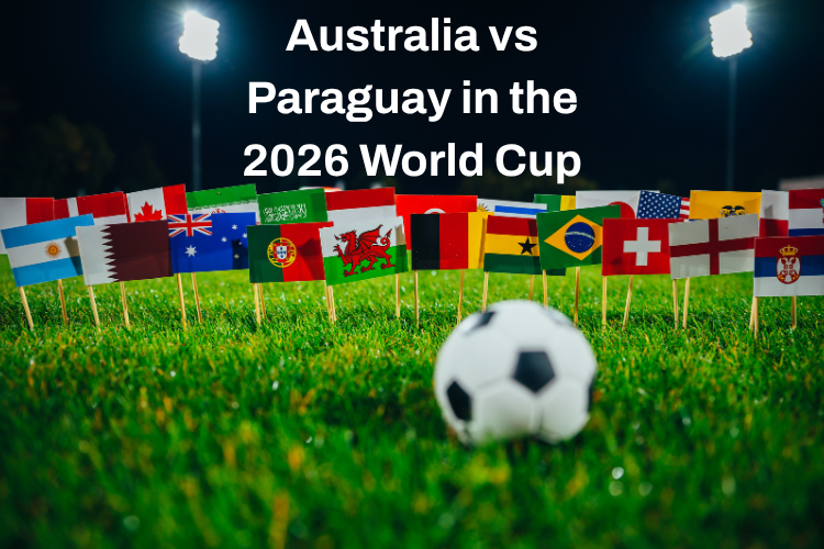 Paul Nicolaou encourages bosses to give staff time off to watch the Socceroos