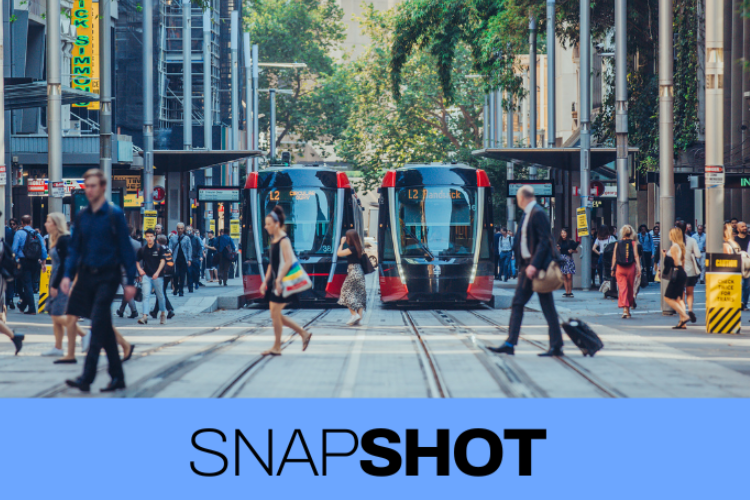 Snapshot July 2025