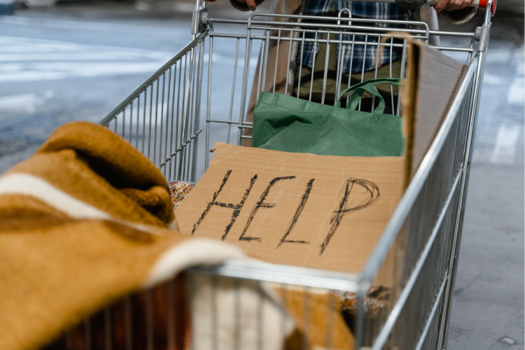 Calls for complete overhaul of homelessness response in Sydney